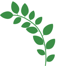 feuille